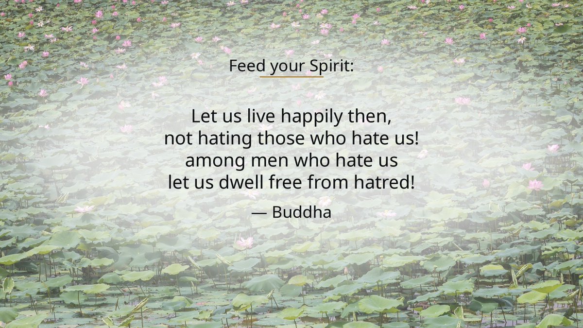 hrnftw's tweet photo. "Let us live happily then, not hating those who hate us! among men who hate us let us dwell free from hatred!" — Buddha
#FeedYourSpirit #Buddhism https://t.co/fTSDbtFd0l