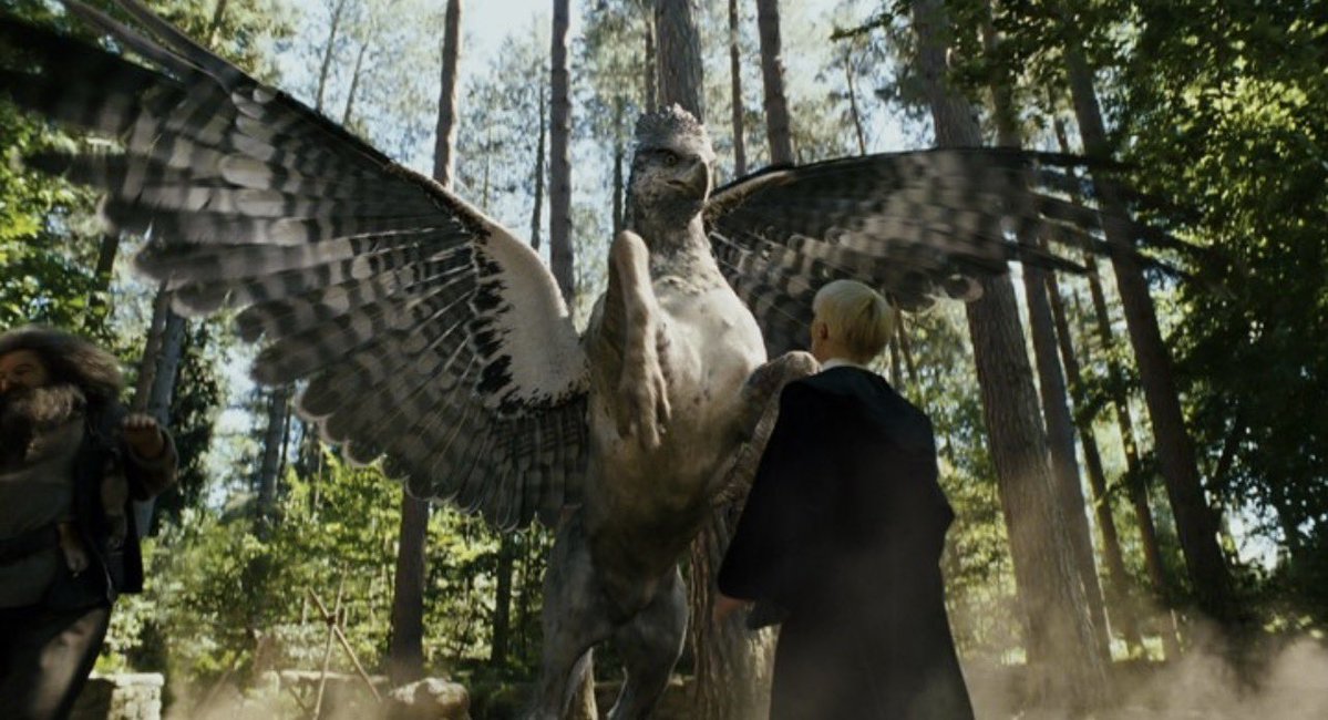 Aurora_verdit's tweet photo. Why was Hagrid punished for an accident while Snape got away with deliberate cruelty?

When Draco got injured by Buckbeak, Hagrid faced an investigation, Buckbeak was sentenced to death, and Hagrid feared losing everything.

Yet Snape could insult students, target Neville’s biggest fears, threaten to poison Trevor, and constantly humiliate Harry without facing any real consequences. Both teachers made students miserable, but only one seemed to answer for what happened in his classroom.

So what exactly were Hogwarts’ rules on teacher misconduct? And why did Dumbledore tolerate Snape’s behaviour while Hagrid was treated like a danger to his students?