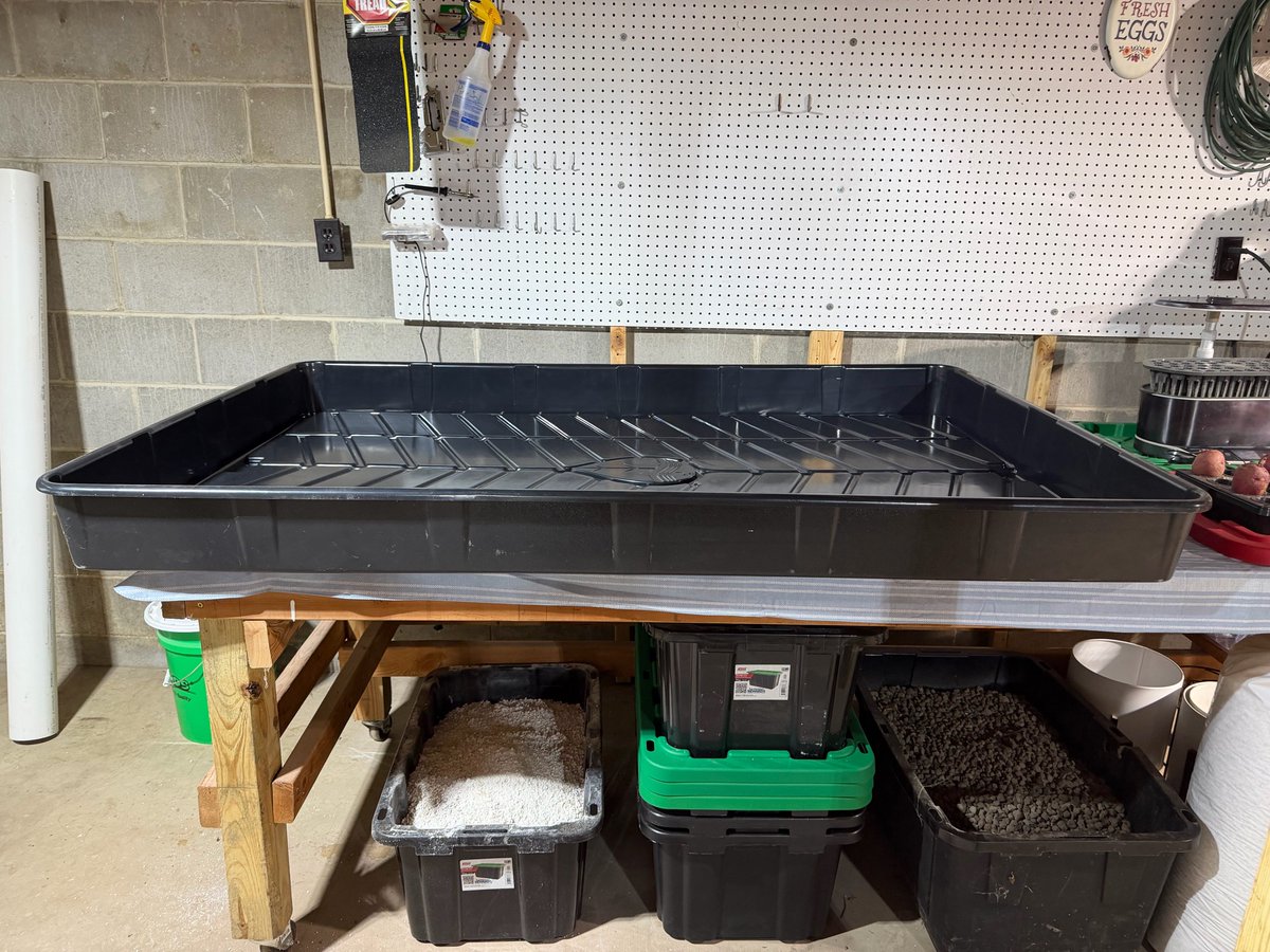 WildFlower_Tr's tweet photo. Last night I got a big 4'x6' flood tray for a new hydroponic system 🌱 I've built quite a few, but this will be my biggest yet. I'm still researching the best setup for my space, so my whole weekend is hydro research and building. So excited! 💧🔧 Pictures coming soon 📸 https://t.co/Zio4OBiEX0