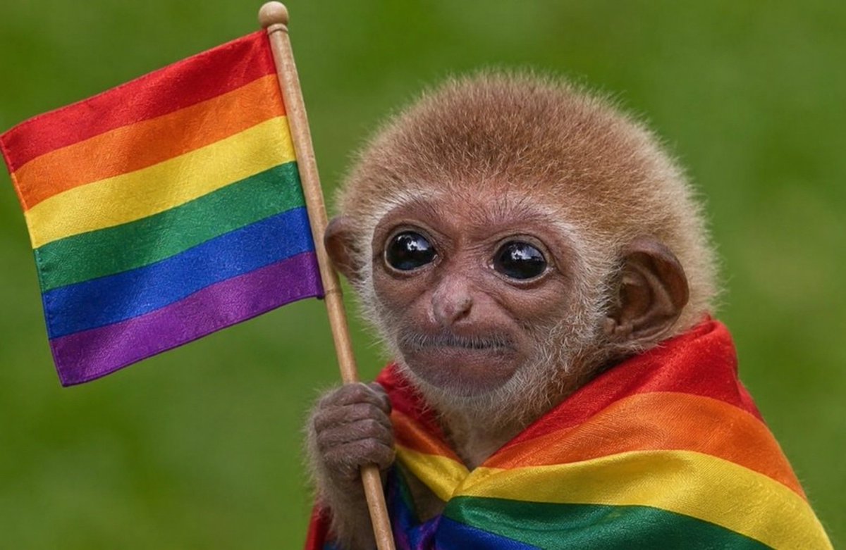 elrwwq_'s tweet photo. @inconcesso ele lgbt https://t.co/ToI6btS1RN