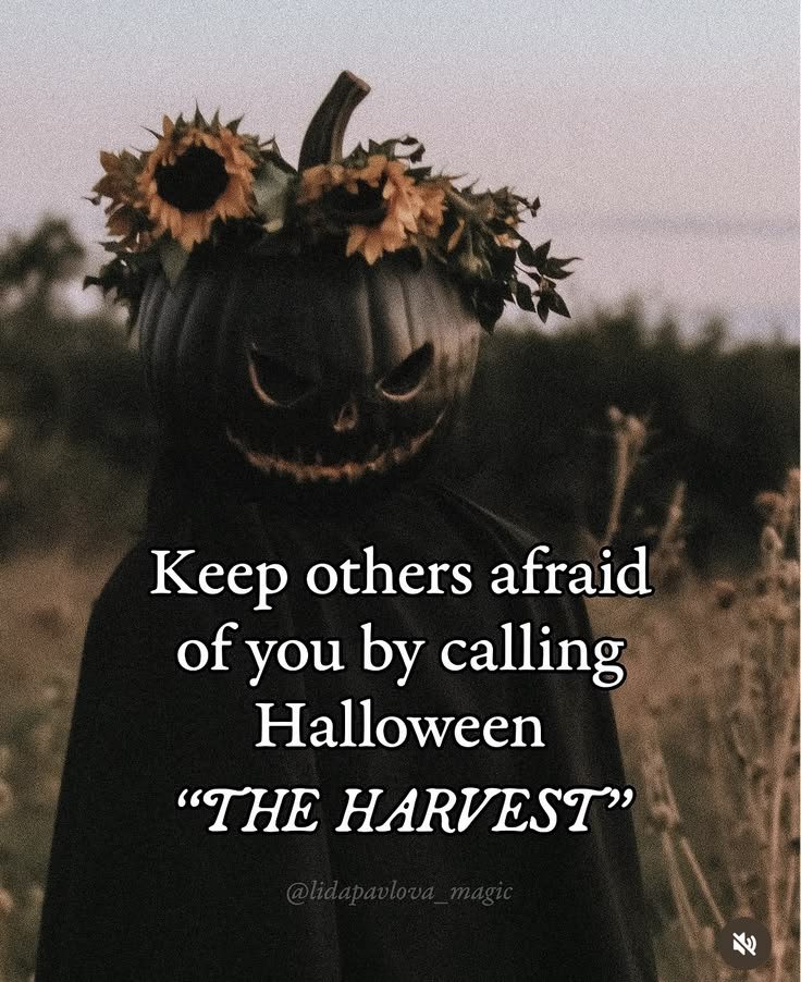 OneFallenAngelM's tweet photo. 🎃✨️🎈 https://t.co/ybdeY9WSBO