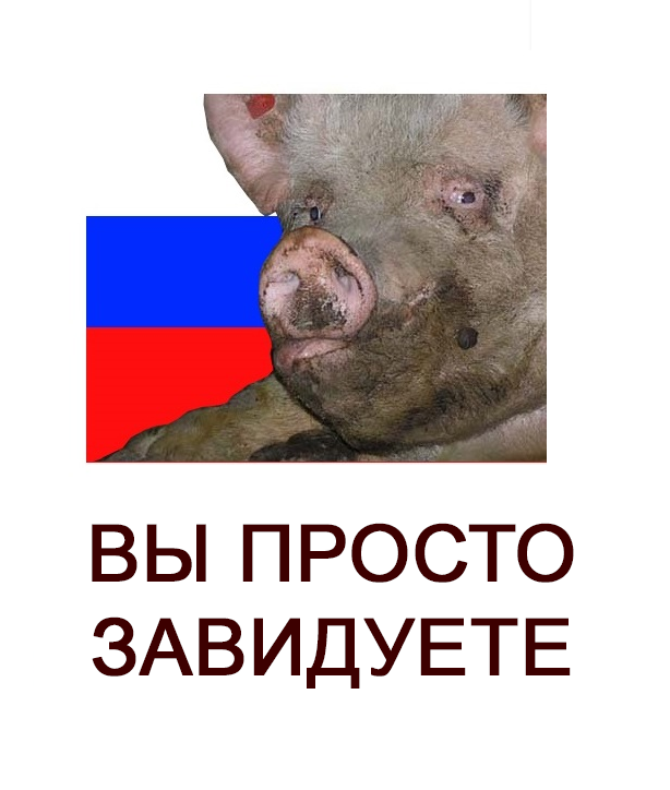 haz5p4's tweet photo. @ilovetzd @Geoliberty2008 такое и свой тыл подставит для свиней в окопе https://t.co/JkorysfFiZ