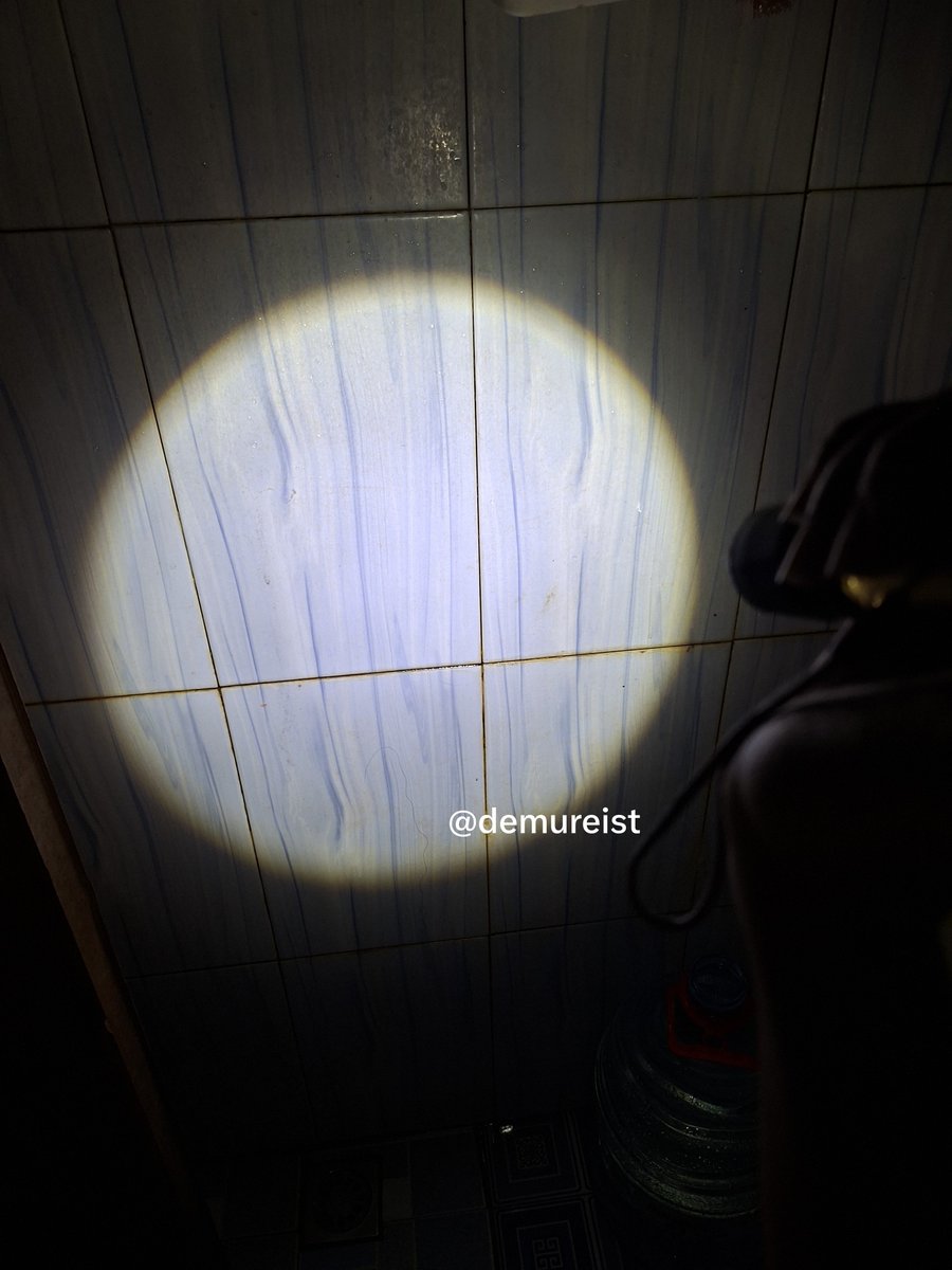 demureist tweet picture