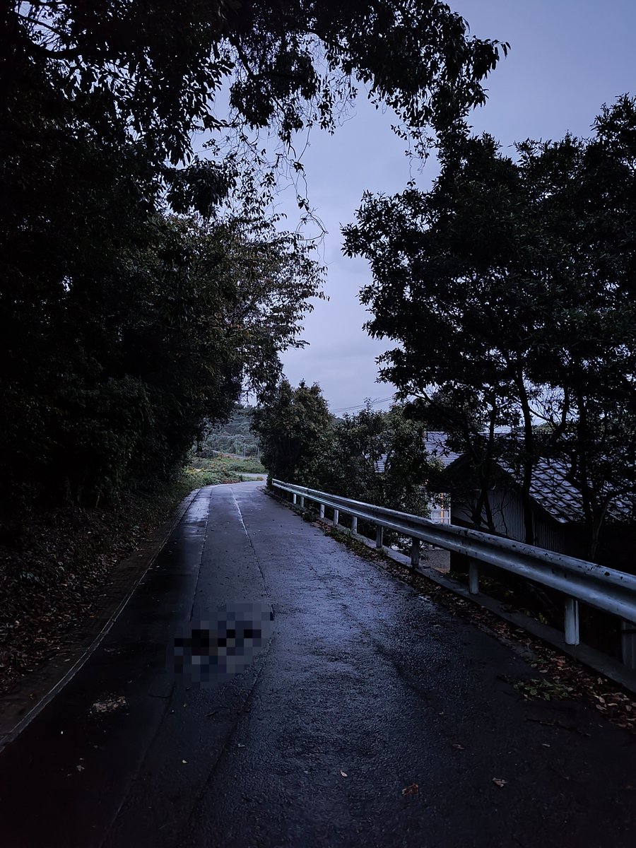 ayapin_1146's tweet photo. 大分って結構不気味多いから好き。
なおここはいつもの道のり https://t.co/a5dKmm14ul