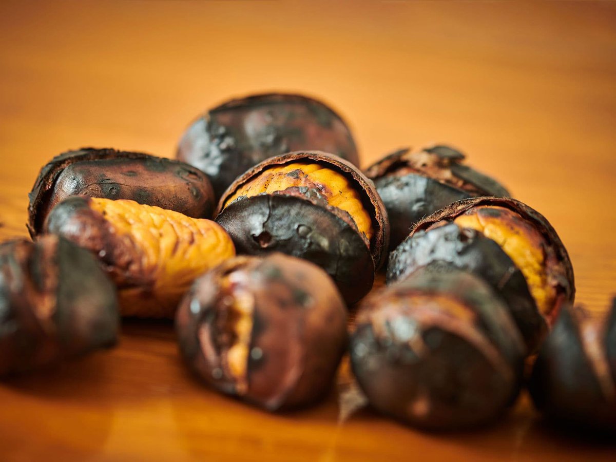 ColoursofIstria's tweet photo. Autumn in northwestern Istria is found in the little things. 🍂🍁
A mushroom appearing between blades of grass. Mandarins and persimmons ripening in the garden. The first roasted chestnuts. Forest paths turning amber, while the sea stays impossibly blue. https://t.co/NWSTFvesrA