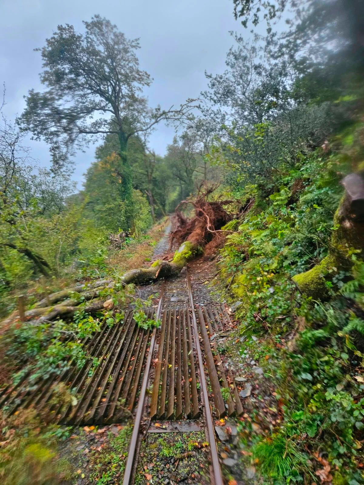 Talyllyn Railway on X: 
