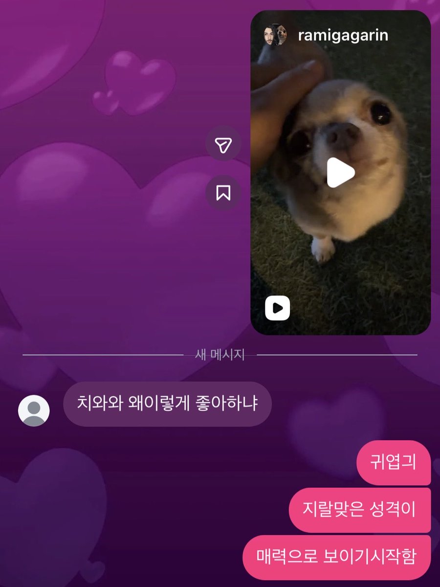 miyaong1217's tweet photo. 치와와 좋아하는 이유 https://t.co/kGiDjcP0Z7