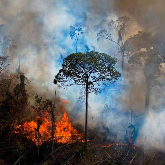 KnowledgeZoneIn's tweet photo. #KnowledgeByte: #Ecocide is a term used to describe the intentional or reckless destruction of ecosystems. 

It's a concept that has gained increasing attention as environmental degradation and climate change have become pressing global issues.

https://t.co/dccsxc7eyR https://t.co/ApDa18iYOb