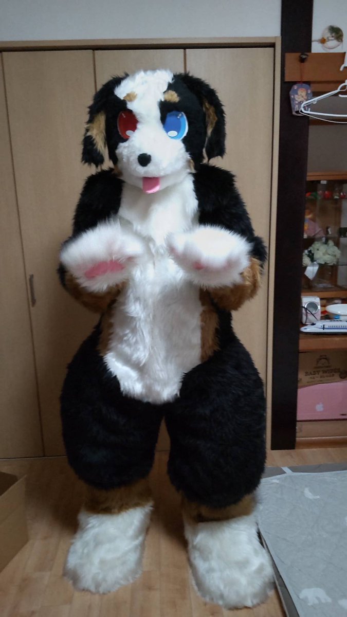 migta29's tweet photo. #FursuitFriday
#ブルーだよ
✊🖐️🕺 https://t.co/wsFkxQZICf