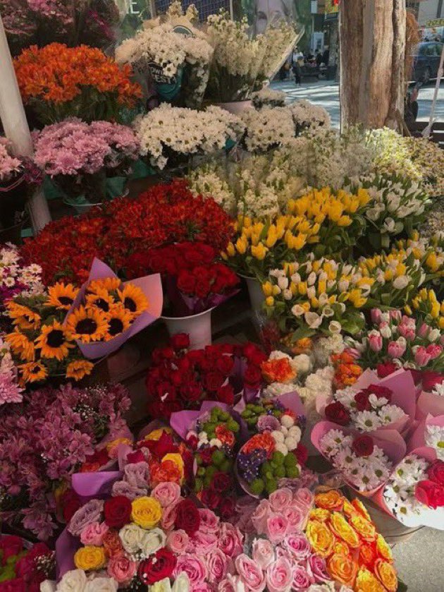 lunecrumbss's tweet photo. flower shop 🌸🪷💐🌻 https://t.co/XRAnbNslt7