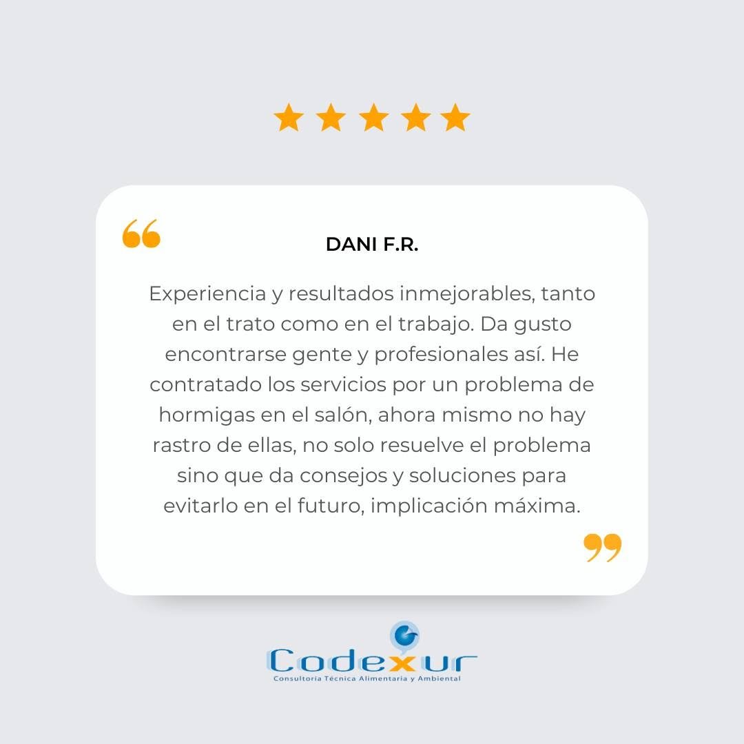 codexur's tweet photo. No hay mejor forma de hablar de nuestro trabajo que dejar que lo hagan quienes han confiado en nosotros. 💙

¡Gracias por confiar en nuestro equipo! https://t.co/SiuIyNI0Jd