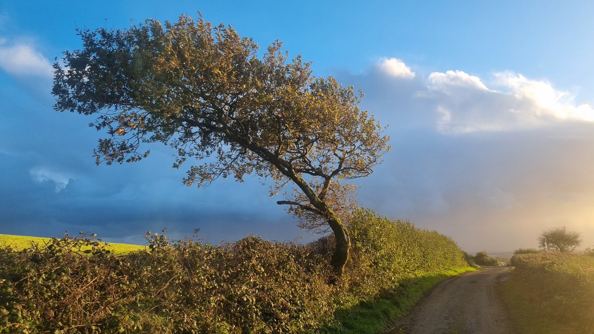 Superproprep's tweet photo. @DailyPicTheme2 The #ViewFrom the High Lane near where I live. 

I often walk my dog, Colin, here on the quiet single-track lanes through farmland in Carmarthenshire. https://t.co/Qr2ecTSca7