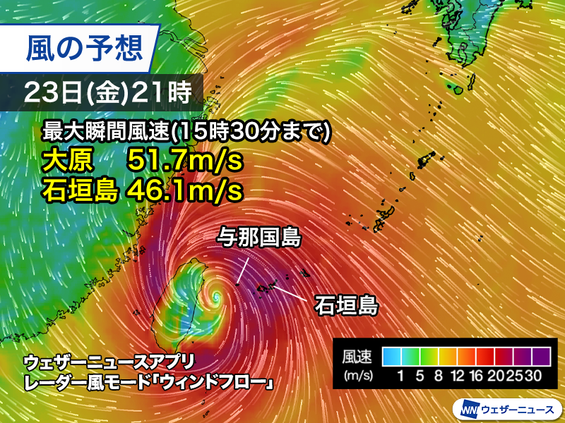 wni_jp tweet picture