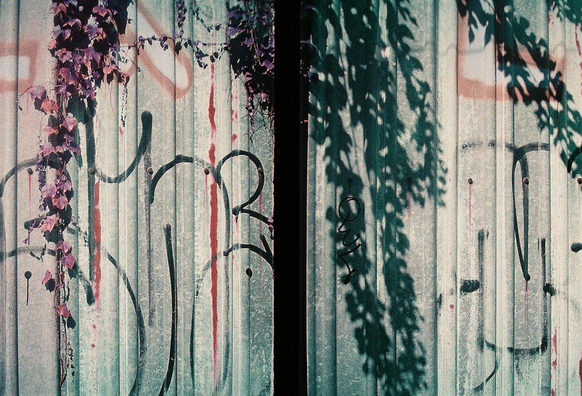 7a_tkn_'s tweet photo. ［film photos］

*camera RICOH オートハーフ
*film LomoChrome Purple

#りょえさんぽ https://t.co/trWDuk7EGX