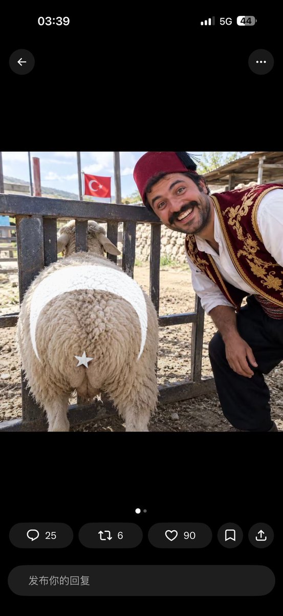 Bbddcc862's tweet photo. @turkishyachtguy https://t.co/29g80Mns7p