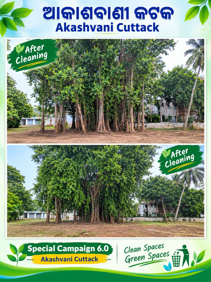 AIRCuttack's tweet photo. Special Campaign 6.0 | Akashvani Cuttack 🌿

An old, neglected banyan tree area has been transformed into a cleaner, greener and safer space through dedicated cleaning efforts.

#SpecialCampaign6 #AkashvaniCuttack #Swachhata #CleanAndGreen #WorkplaceCleanliness https://t.co/CeVMy9HNfd