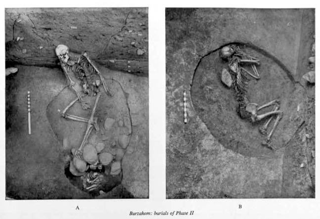 AliWakhi's tweet photo. @ZiganaKhan they buried their dead, unlike hindus who cremate it. https://t.co/LWhRaYkCqM