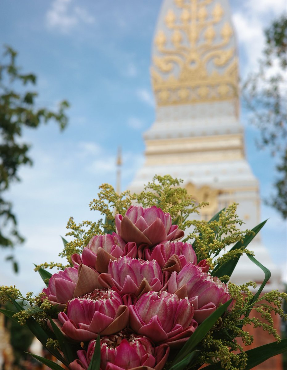 Q_cupid's tweet photo. 📍 งบในการไปถ้ำนาคาของเราที่ผ่านมา 

- ค่าตั๋วเครื่องบินไปกลับ กทม - นครพนม ไม่เกิน 3,000 บาท / บางคนลงอุดร/สกลนคร แล้วแต่เลย เพราะบึงกาฬยังไม่มาสนามบินมาลงโดยตรง 

- เช่ารถหารกับเพื่อน เราไป 6 คน เช่ารถ 7 ที่นั่งตกคนละ 300 ต่อวันได้ 

- ค่าที่พักหาแถวๆทางไปถ้ำ แล้วแต่เราจะพัก มีตั้งแต่หลักร้อย หลักหรู ตามสไตล์คน 

- ค่าเข้าอุทยาน คนละ 20 มั้ง จำไม่ได้ ค่าไกด์ท้องถิ่น จะให้พิเศษอะไรก็ว่าไปอันนี้ตามแต่เรา ปกติไกด์เค้าจะมีกฏระเบียบ 

- ใครไม่มีเพื่อน ลองเข้ากลุ่มคนเที่ยวถ้ำนาคา ถ้ำนาคี ดูนะ จะมีคนมาคนเดียว มา 2 คน ไรงี้เยอะมาก ไปจอยๆได้ ถ้าเราโอเค 

เราชอบมาลงนครพนมเพราะว่าจังหวัดนี้มันน่ารัก 555  จริงๆตั้งใจมาไหว้พระธาตุพนมด้วย เราไป 3 วัน 2 คืน ทริปนี้หมดไปประมาณ 5,000 บาท ต่อคน กินอิ่ม กินจุ นอนสบายมาก