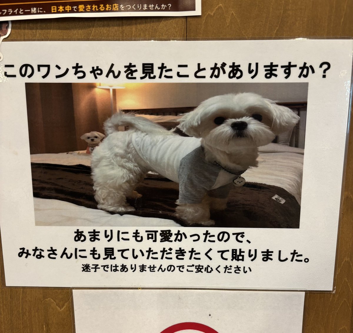 nemui_box_2's tweet photo. 神の張り紙あった https://t.co/SZ5XQsXbfL