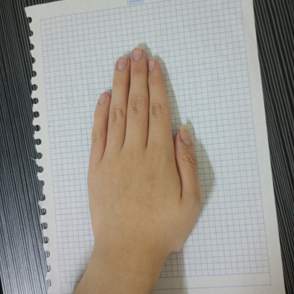 aelinsinferno's tweet photo. Chat is this hand moided or foided https://t.co/sAvUTV4c76