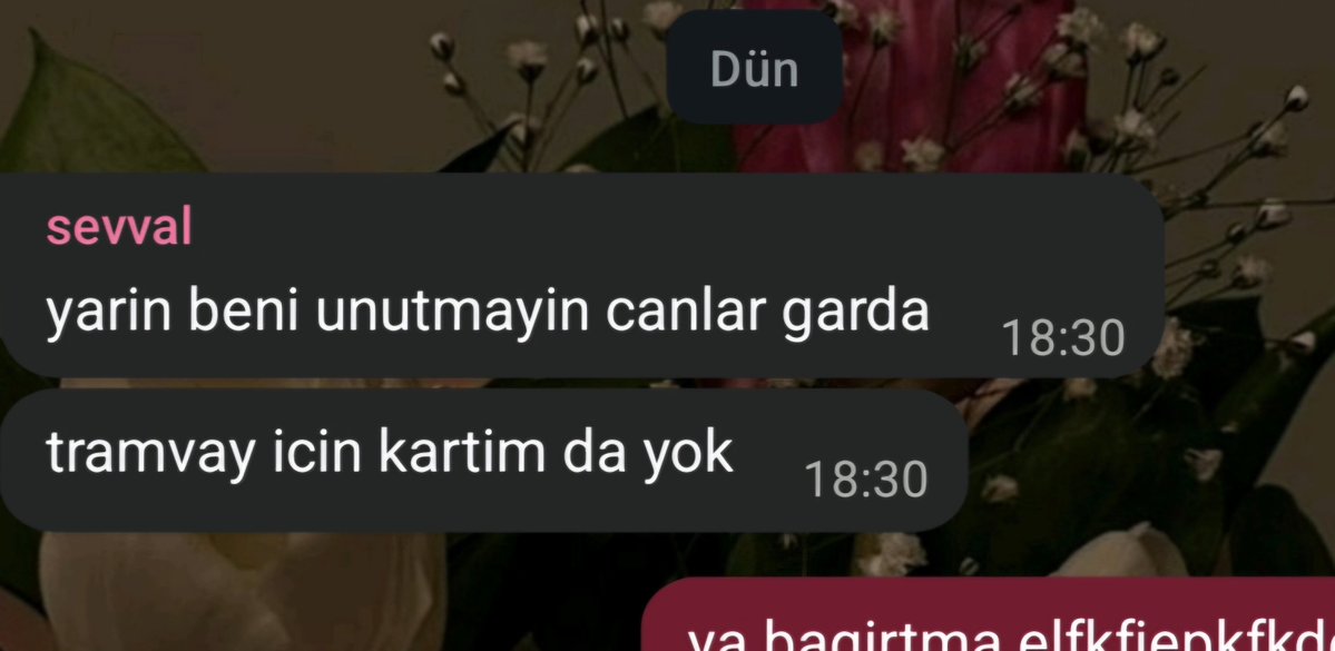 hazangecesii's tweet photo. panik yapmayan kizlar bal olsaymis// bize dusen eleman https://t.co/rcuVvKCjuC