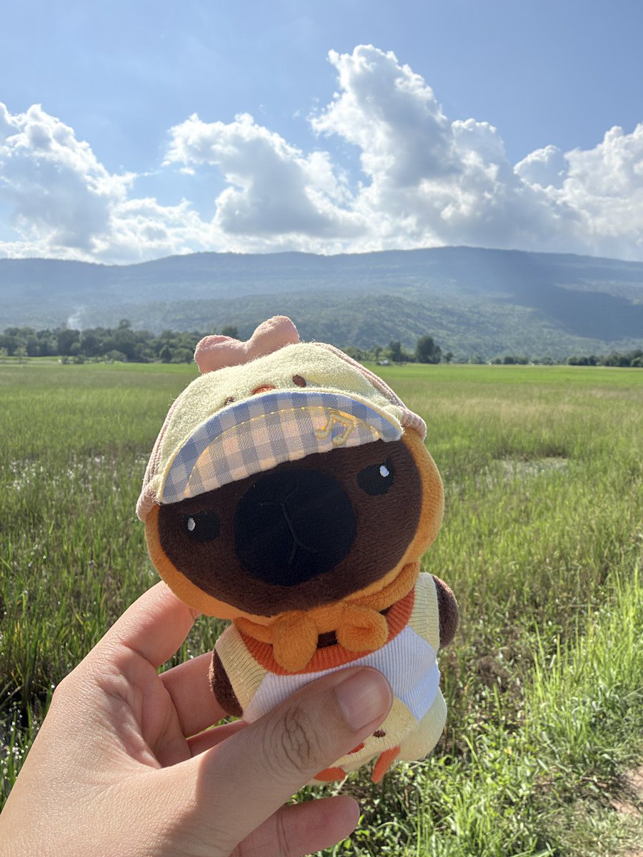 ChmpSo's tweet photo. พาจุ๊กเจี๊ยบมาเที่ยวชัยภูมิ⛰️🖤🥕🐰

#JookKroo https://t.co/Gqb0qIOgnf
