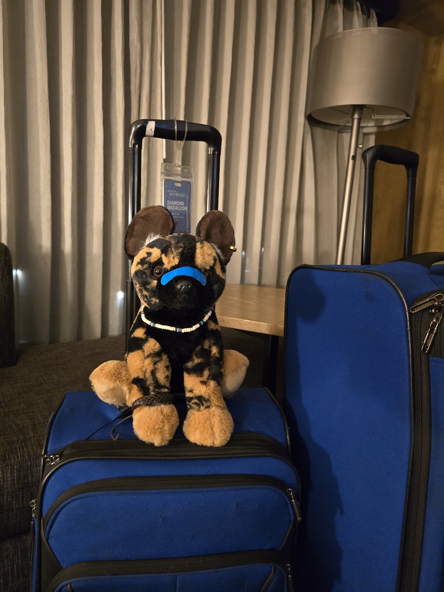 TransformARTive's tweet photo. Just landed in Oakland near midnight for my first World Fantasy Convention.

I packed myself in my luggage to save on cost but it was a very cramped trip. https://t.co/5IxH1rcPYI