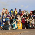 Photo by Adam Curly 🔜 MFF, Scotiacon & CFz (@OreoOtter)