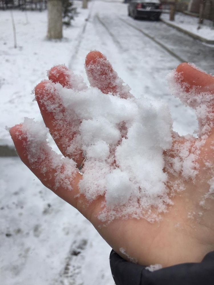 FizzyLarmi4's tweet photo. Snowy weather proof https://t.co/olJYduM1dZ