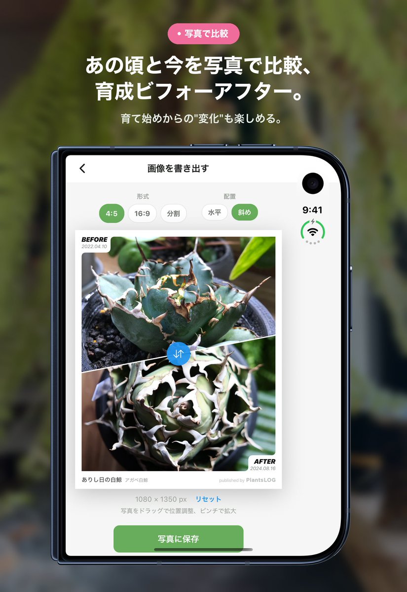 shumica_fufu's tweet photo. 植物管理アプリ【PlantsLOG】はiPhoneDUOに対応してるので、今日手に入った方はぜひ触ってみてください！

自分は12月までお預け🥹 https://t.co/LF4Mz6jTPM