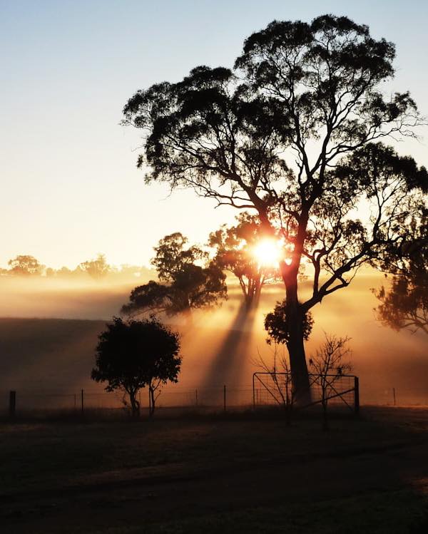 rendanT045566's tweet photo. Show us your sunset photos. This beautiful shot was taken by Elsa from her farm in NSW. https://t.co/eSKl6QxPyD