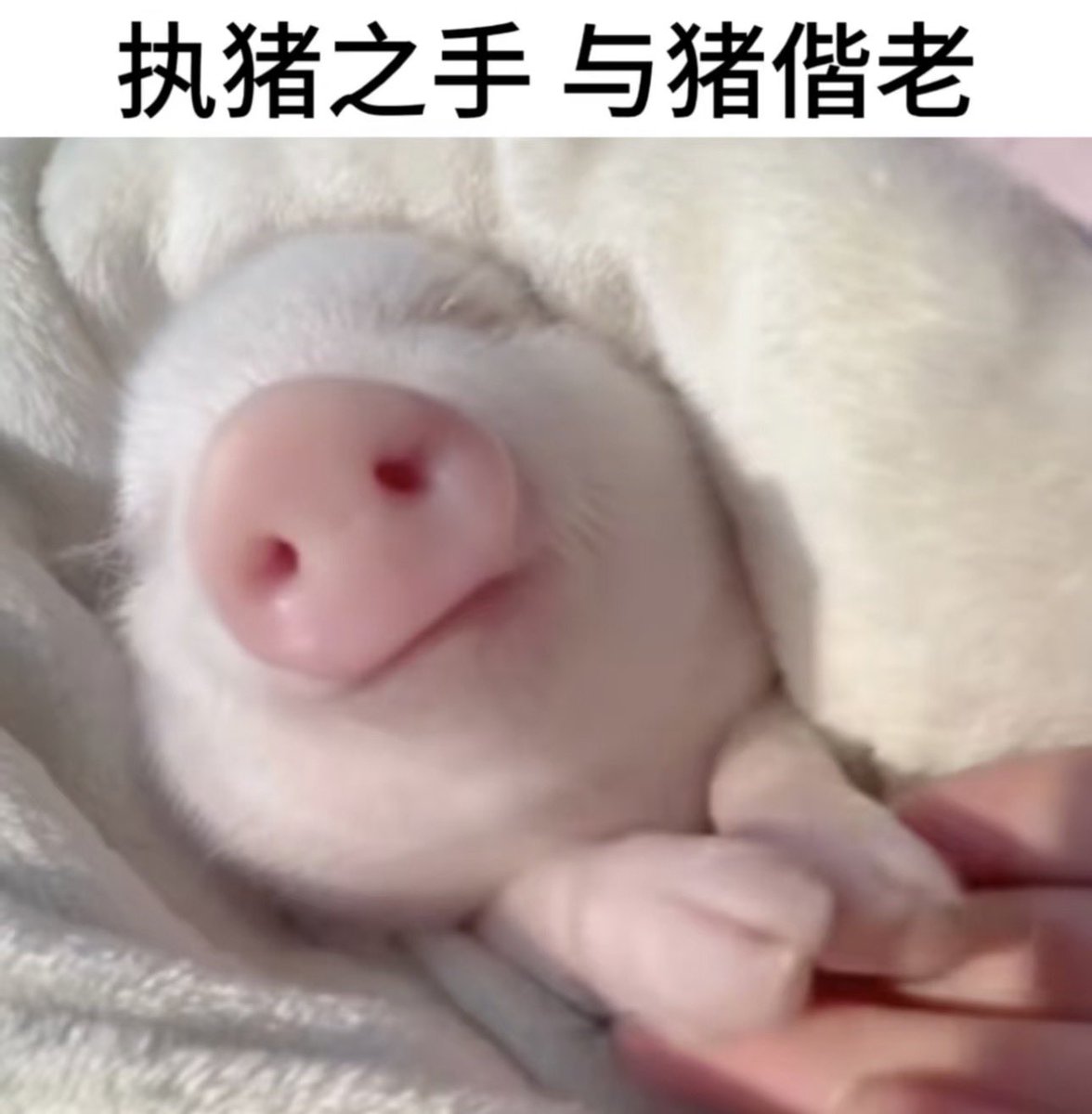 oxygenismi's tweet photo. https://t.co/slT9O7DT1j