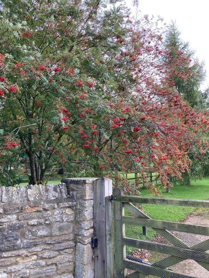 zarahandley's tweet photo. Autumn vibes 🍂 https://t.co/MU6a2FdaVq
