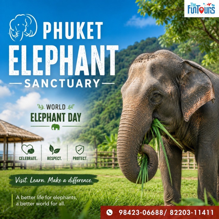 stylekinqdom's tweet photo. Celebrate elephants by supporting a future of dignity, care, and freedom. Visit Phuket Elephant Sanctuary to experience ethical tourism and help protect wildlife. https://t.co/nApfB5zZ4M