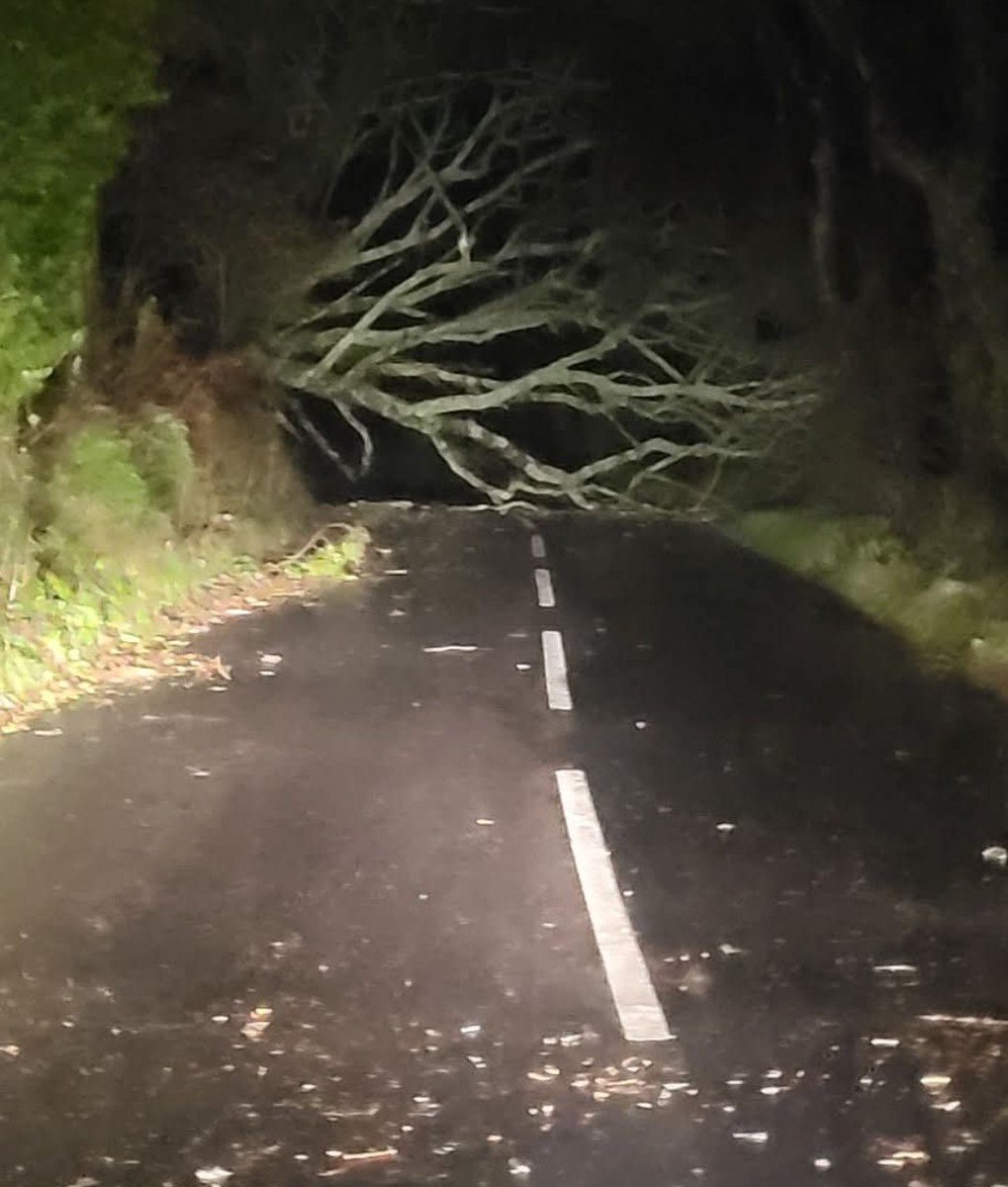 Official_WXUK's tweet photo. Lots of reports on local Facebook of trees down, roads blocked/closed, power lines down and minor structural damage, mainly roof tiles, across Cornwall this morning. Some schools have closed and bus, road, rail and air travel have all been impacted.

#StormAusten https://t.co/WqjqKh2V0Z