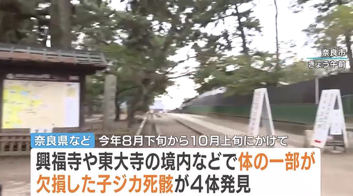 nBwQSzmg3qU2ysd's tweet photo. 奈良で体の一部が欠損した子ジカの死骸が4体も発見。

異常だよ、こんなの。

日本、どうしちゃったんだよ。 https://t.co/sKct6hGJ19