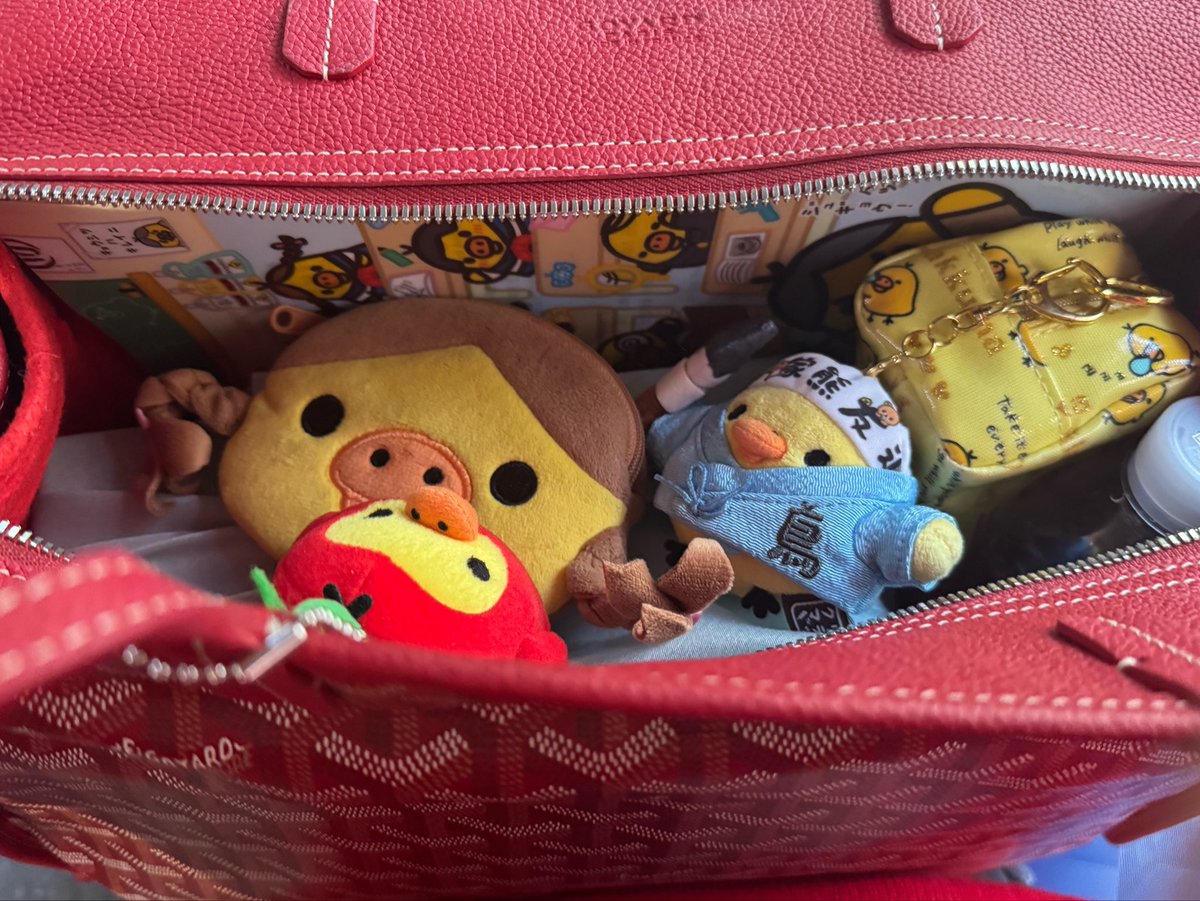 kiiroibam's tweet photo. 🍎겉만 보면 안에 키이가 가득한지 모르겠죠?🐥
🍎#キイロイトリ❤️#돼병이💛 https://t.co/IQt2VkoWZs