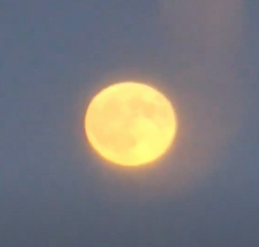 jaredvc's tweet photo. @Lenny_knowsalot @TheGlobeIsDead Do you or do you not understand that bright objects can shine through thin haze? https://t.co/oFEhhJfN2D
