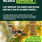 Photo by Canopée Forêts Vivantes (@Canopee_asso)