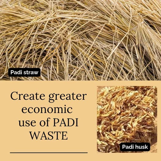 consumer_penang's tweet photo. The Consumers’ Association of Penang (CAP) urges the #authorities to #collaborate with institutions of higher learning, #research bodies & #businesses to #develop #practical #solutions that curb open burning & enhance the #economic #value of #padi #waste.
https://t.co/Mcg4bjKTX5 https://t.co/kZnFJ2KAco