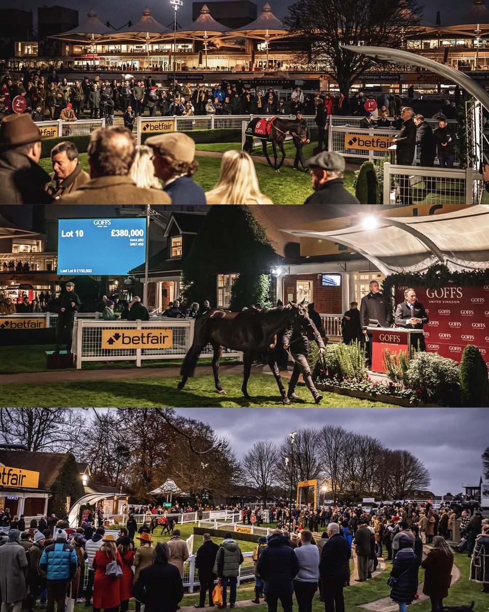GoffsUK's tweet photo. The Goffs Tingle Creek Sale returns in December  📣

Goffs is delighted to announce that the Tingle Creek Sale, a boutique sale of point-to-pointers held @Sandownpark, will make a welcome return on Saturday 5 December.

Read more: https://t.co/T6E7ock3jo https://t.co/mixaGEr0UA