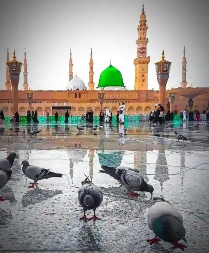 Mujahida_50 tweet picture