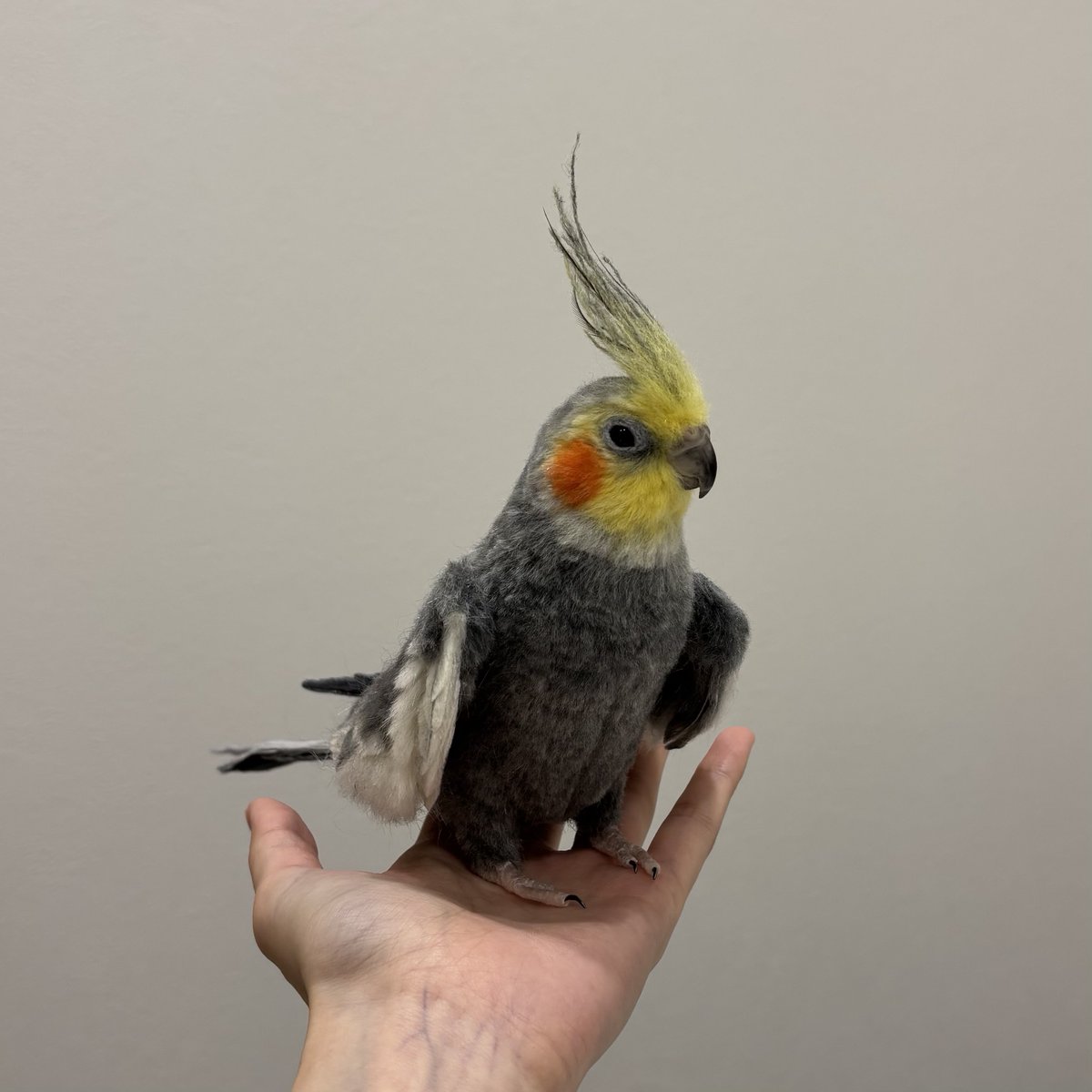 monzo_felt's tweet photo. 羊毛フェルトのオカメインコ完成しました。 https://t.co/TqzVeNw3IH