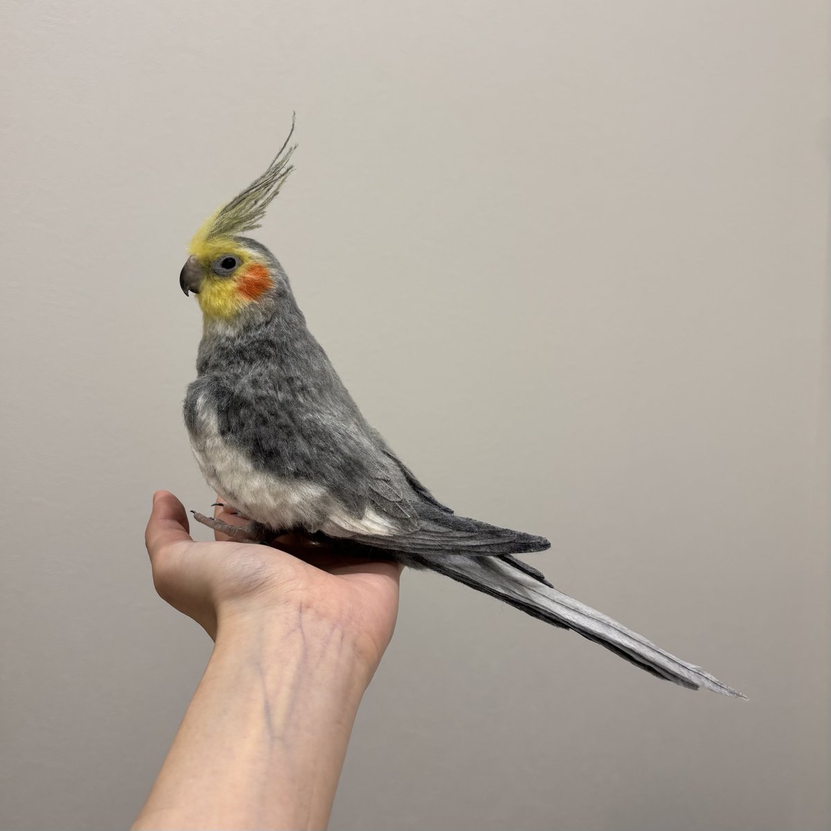monzo_felt's tweet photo. 羊毛フェルトのオカメインコ完成しました。 https://t.co/TqzVeNw3IH
