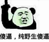_sxovo's tweet photo. @Roger_meyhanesi 你被路边某条野狗一鸡巴从耳朵插进脑子里面去了，把脑仁插成了浆糊。所以才说糊话的。野狗之所以这么喜欢你，是你妈当年的杰作，你妈被一群野狗轮奸，然后生下来你这个狗儿子。野狗见了你就想起来轮奸你妈那时候的爽感，顾不上那么多了，直接从耳朵插进去了，也是个可怜的孩子😂😂 https://t.co/G24jlzSPwY