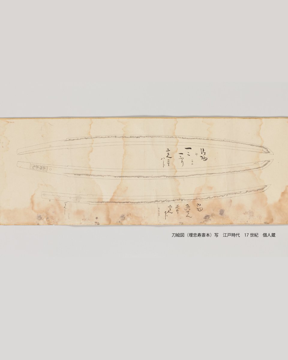 edotokyomuseum's tweet photo. ‥‥‥‥‥‥‥‥‥‥‥‥‥‥
江戸東京博物館リニューアル記念
NHK大河ドラマ特別展🪭
「豊臣兄弟！」　11月8日（日）まで！！
‥‥‥‥‥‥‥‥‥‥‥‥‥‥
現在、装剣金工家・埋忠寿斎の書写奥書がある刀絵図の写本を展示しています。
重要文化財「南泉一文字」とともに、こちらの貴重な資料もお見逃しなく！
本日24日（土）は19:30まで開館しています🌛（入館は19:00まで）