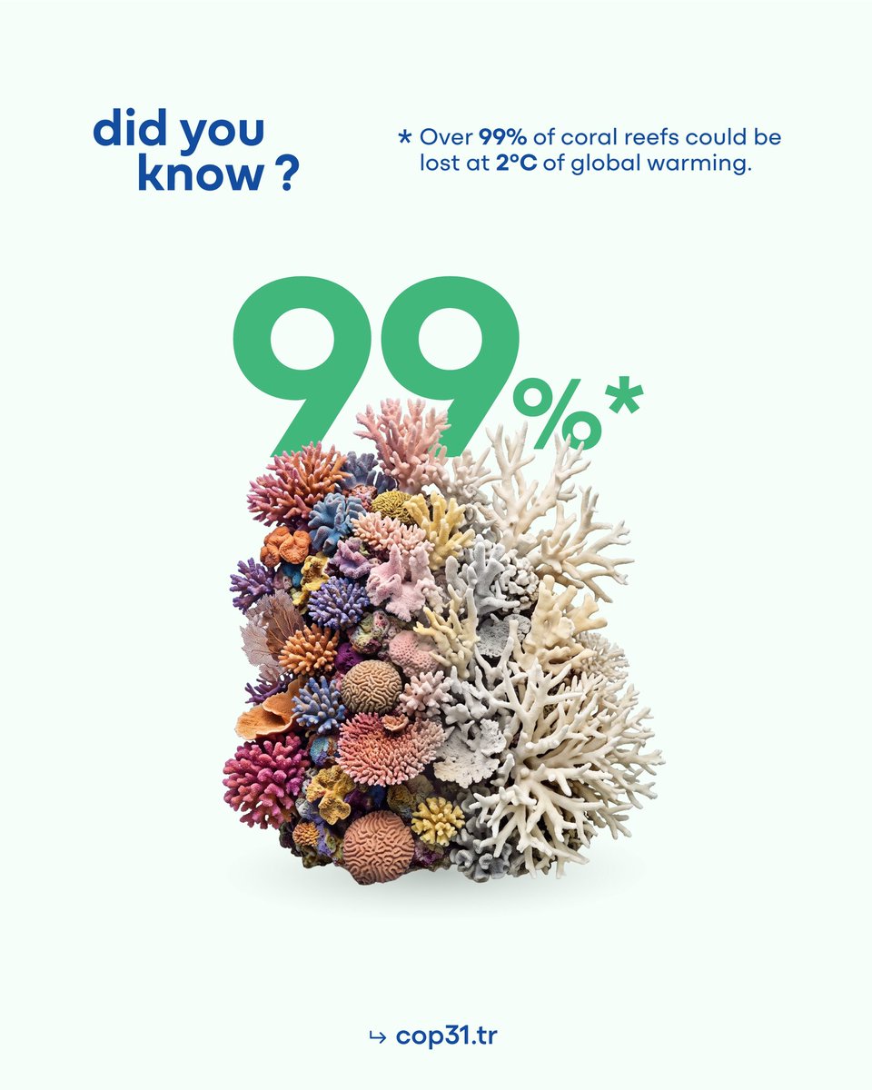 turkiyecop31's tweet photo. Did you know? 🪸

The IPCC projects that coral reefs would decline by a further 70–90 per cent at 1.5°C of global warming, and that more than 99 per cent would be lost at 2°C.

Healthy reefs shelter marine life, sustain fisheries and tourism, and protect coastlines by absorbing wave energy.

On the road to #COP31, keeping 1.5°C within reach is the most effective way to give reefs, and the communities that depend on them, a future. 🌊🐚

#COP31Türkiye #OceanAction #CoralReefs
