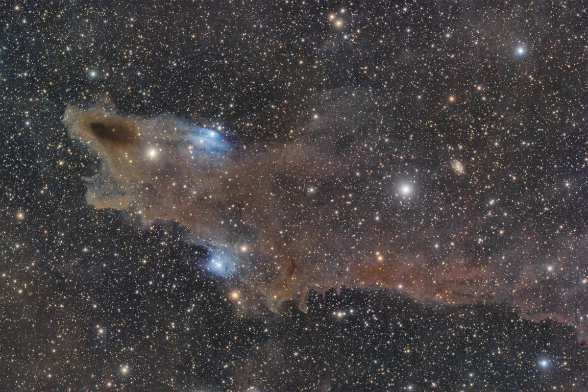 utksk_oka64's tweet photo. 先々週の蔵王で撮影したシャーク星雲です！
画像処理に難儀し遅めの完成になりましたが、F6.7の非冷却カメラでもここまで写すことが出来ました！！
初めて2夜かけて撮影し、11時間の露光となりました。
暗黒星雲の画像処理って難しい… https://t.co/kNq5wxWOkZ