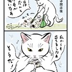 Photo by 元祖ふとねこ堂 (@mojugiso)