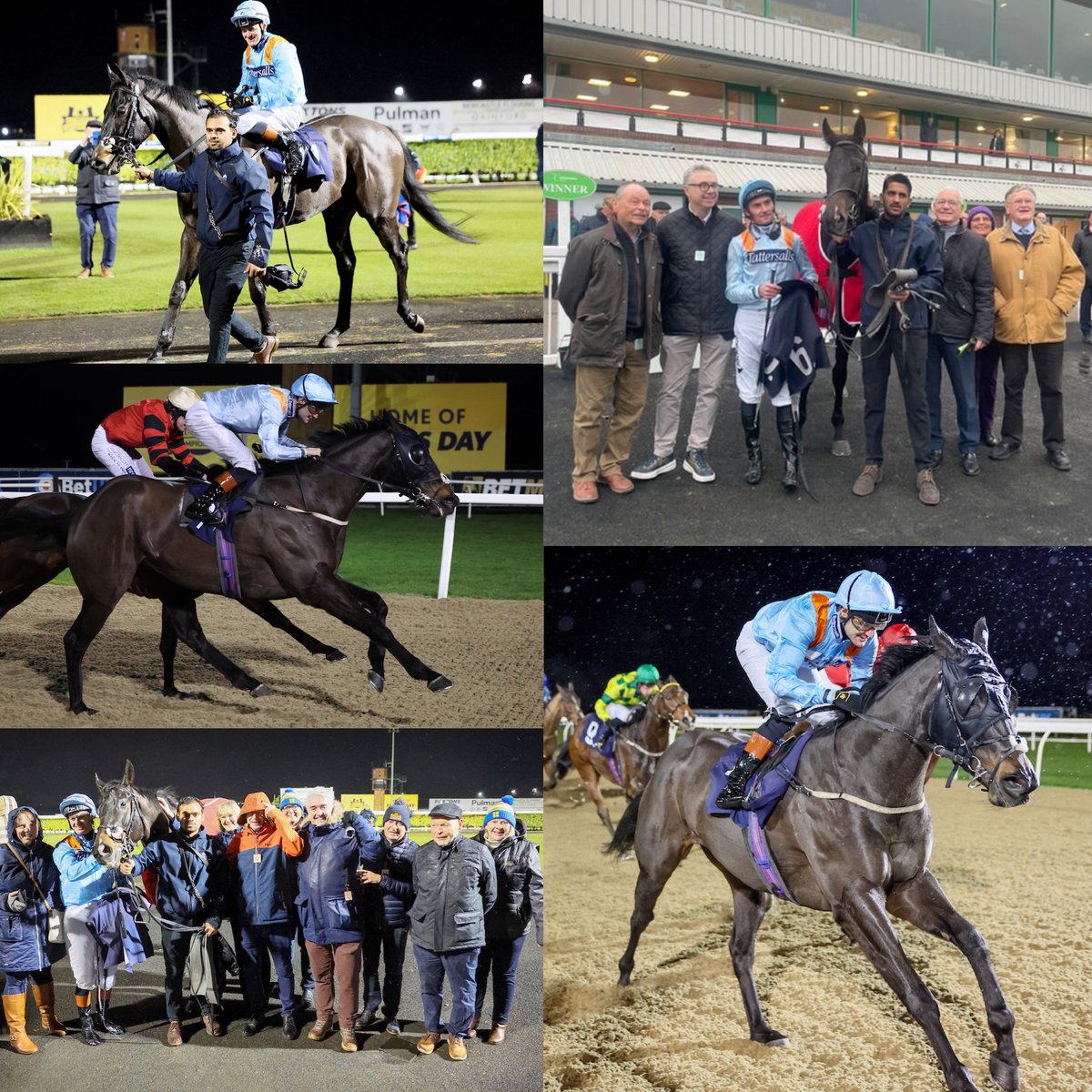 MprUpdates's tweet photo. Happy Retirement Pals Battalion! 🐎

After showing us the time was right, Pals Battalion has been retired from racing. Bought as a Breezer in 2023, he won 5 times and placed 12 times in 31 starts.

Thank you to @omeararacin who have cared for him throughout his career.

#TeamMPR https://t.co/nOx2SPmosd